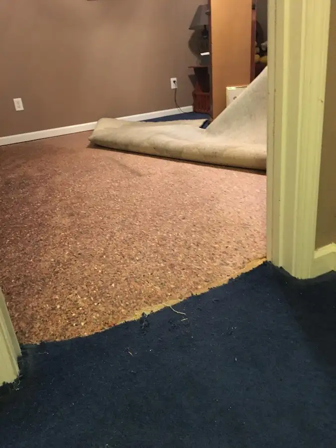 Carpet pad removal revealing water damage during Drying & Dehumidification in Sunrise Manor