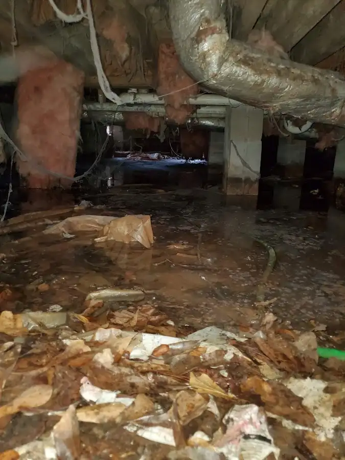 Crawl space flood assessment for Leak Detection & Repair in Sunrise Manor