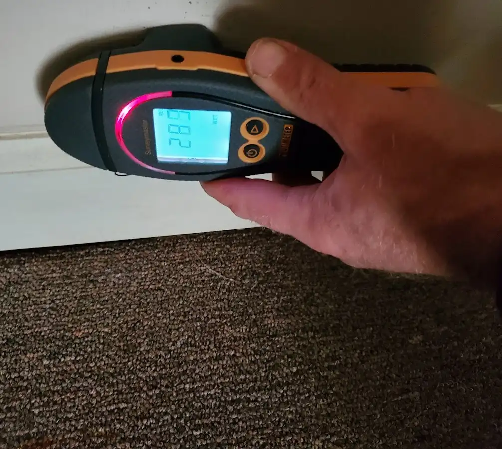 Moisture detection at baseboard during Sewage Cleanup & Sanitation in Sunrise Manor